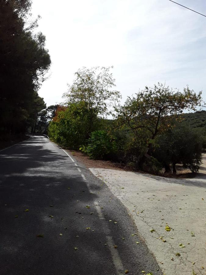 Hacienda La Buena Vida B&B En Appartementen Casita Almendas La Carrera de la Viña Eksteriør billede