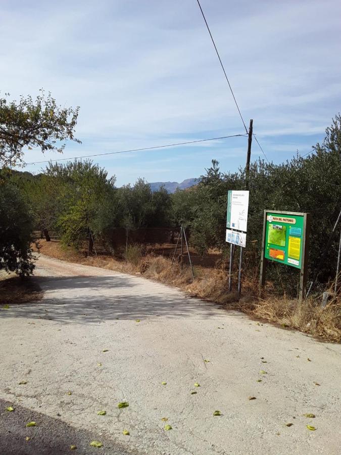 Hacienda La Buena Vida B&B En Appartementen Casita Almendas La Carrera de la Viña Eksteriør billede