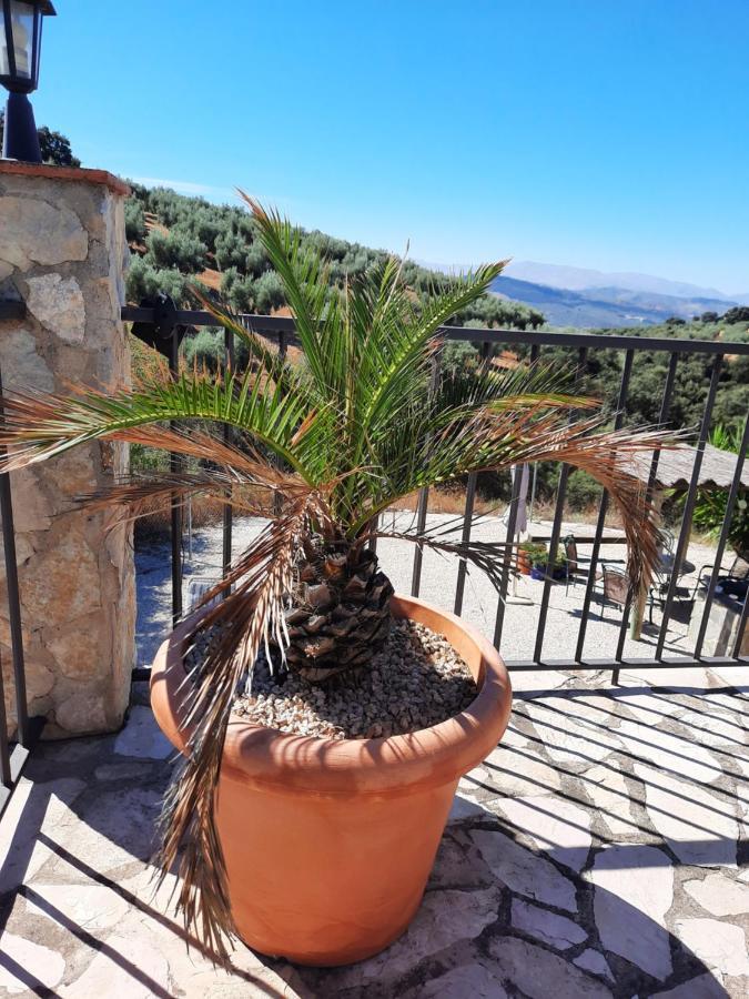 Hacienda La Buena Vida B&B En Appartementen Casita Almendas La Carrera de la Viña Eksteriør billede
