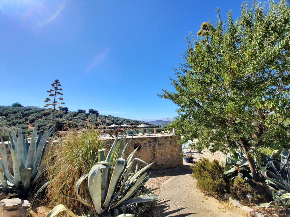 Hacienda La Buena Vida B&B En Appartementen Casita Almendas La Carrera de la Viña Eksteriør billede