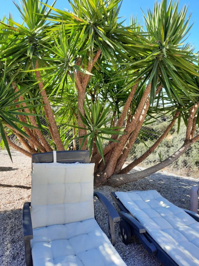 Hacienda La Buena Vida B&B En Appartementen Casita Almendas La Carrera de la Viña Eksteriør billede