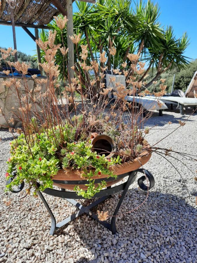 Hacienda La Buena Vida B&B En Appartementen Casita Almendas La Carrera de la Viña Eksteriør billede