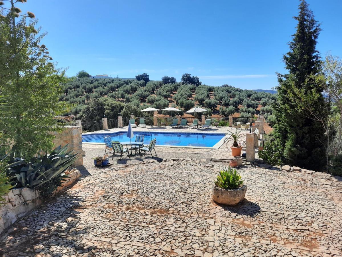 Hacienda La Buena Vida B&B En Appartementen Casita Almendas La Carrera de la Viña Eksteriør billede