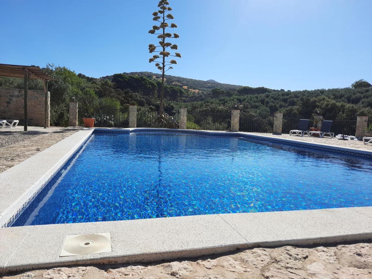 Hacienda La Buena Vida B&B En Appartementen Casita Almendas La Carrera de la Viña Eksteriør billede