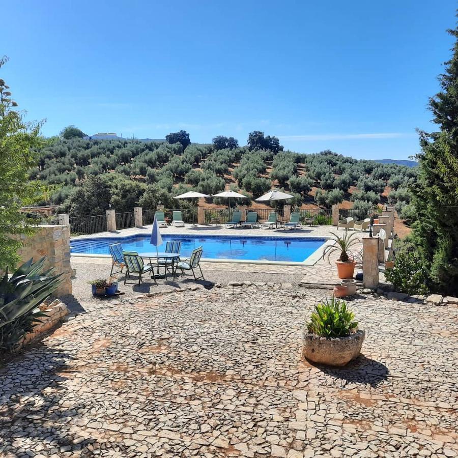 Hacienda La Buena Vida B&B En Appartementen Casita Almendas La Carrera de la Viña Eksteriør billede