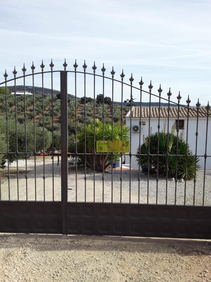 Hacienda La Buena Vida B&B En Appartementen Casita Almendas La Carrera de la Viña Eksteriør billede
