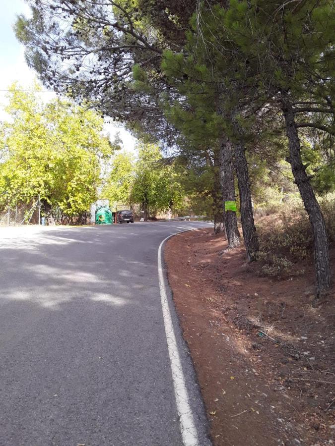 Hacienda La Buena Vida B&B En Appartementen Casita Almendas La Carrera de la Viña Eksteriør billede