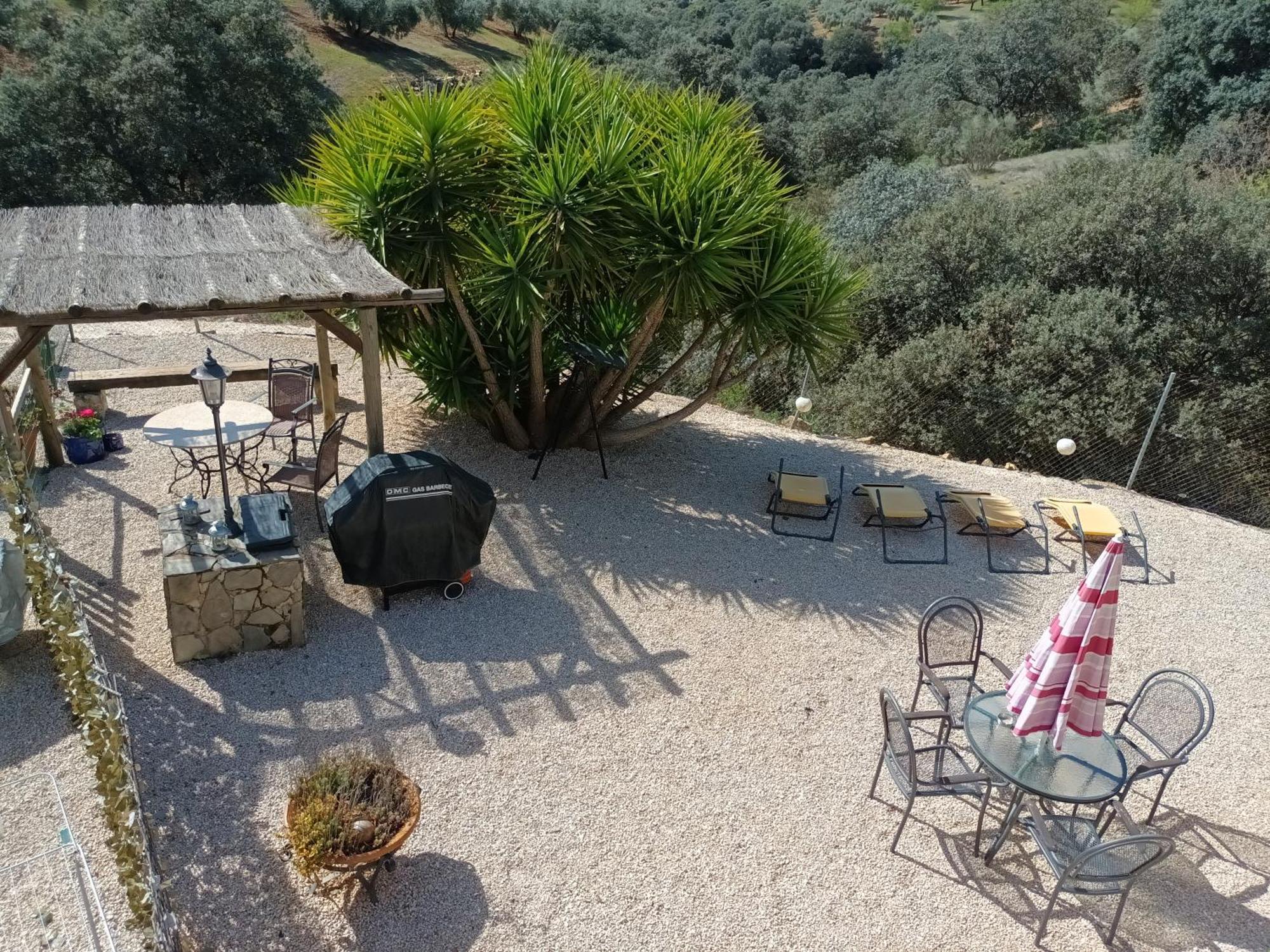 Hacienda La Buena Vida B&B En Appartementen Casita Almendas La Carrera de la Viña Eksteriør billede